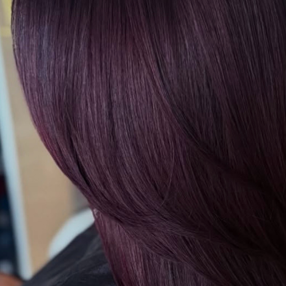 All-Over Color / Glossing at Salon Dahlia in Brandon, FL