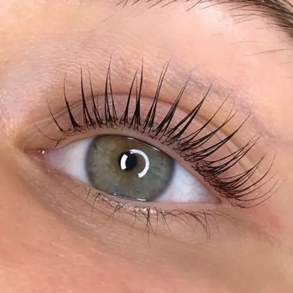 Lash Lift and Tint at Lash by Xu in HOUSTON, TX
