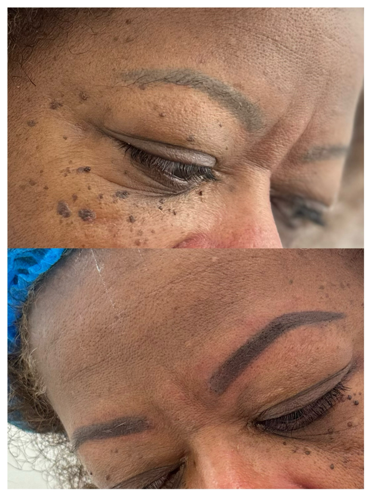 MicroShading Brows
