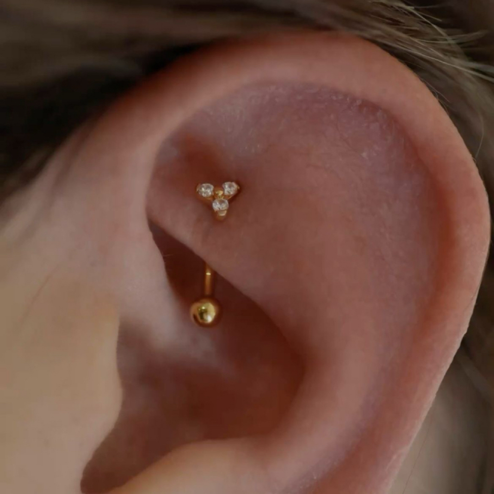 Rook at Samantha James Beauty & Boutique in Omro, WI