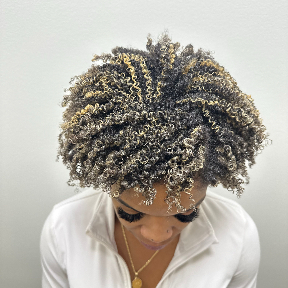 Partial CurlyLites at Lionessa Beauty in San Diego, CA