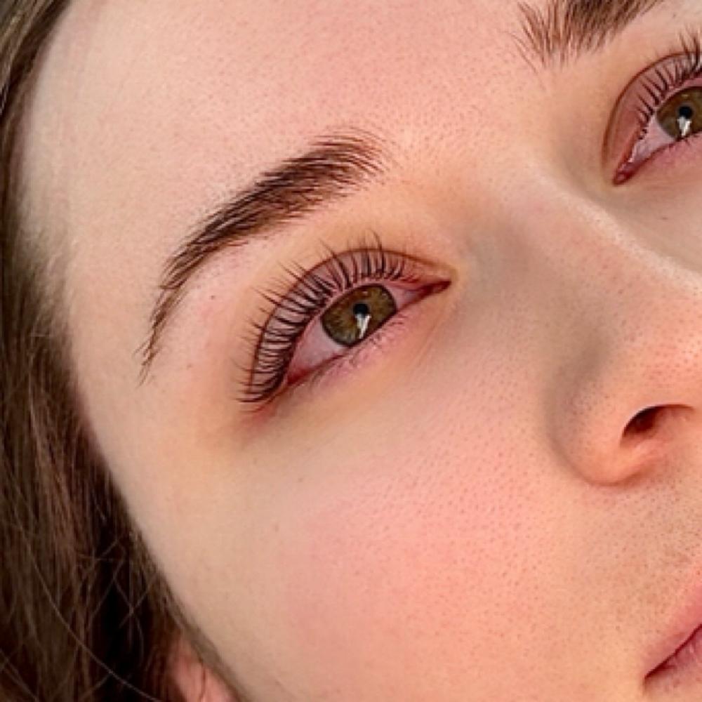 Lash or brow Tint and Wax Only at Skin and Brows by Carol in Denver, CO