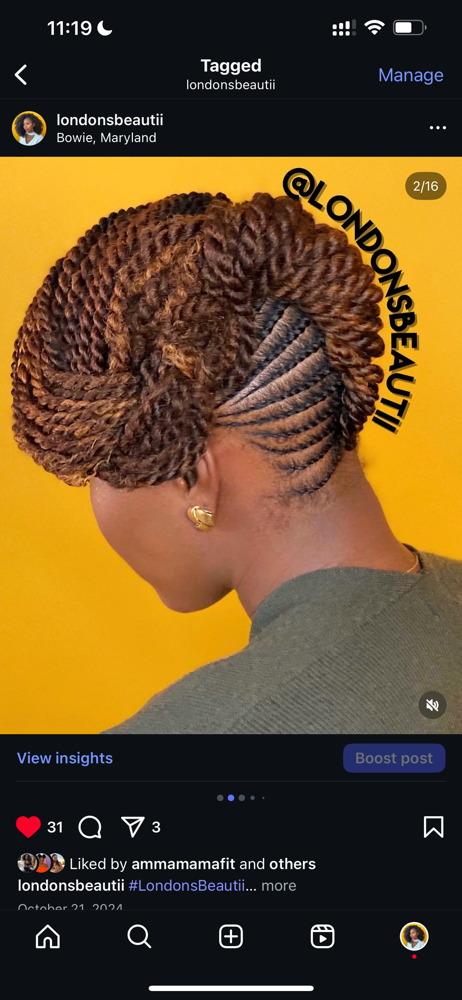 Braided Up-Do