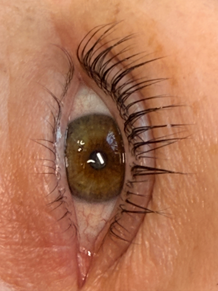 Korean EyeLash Lifts