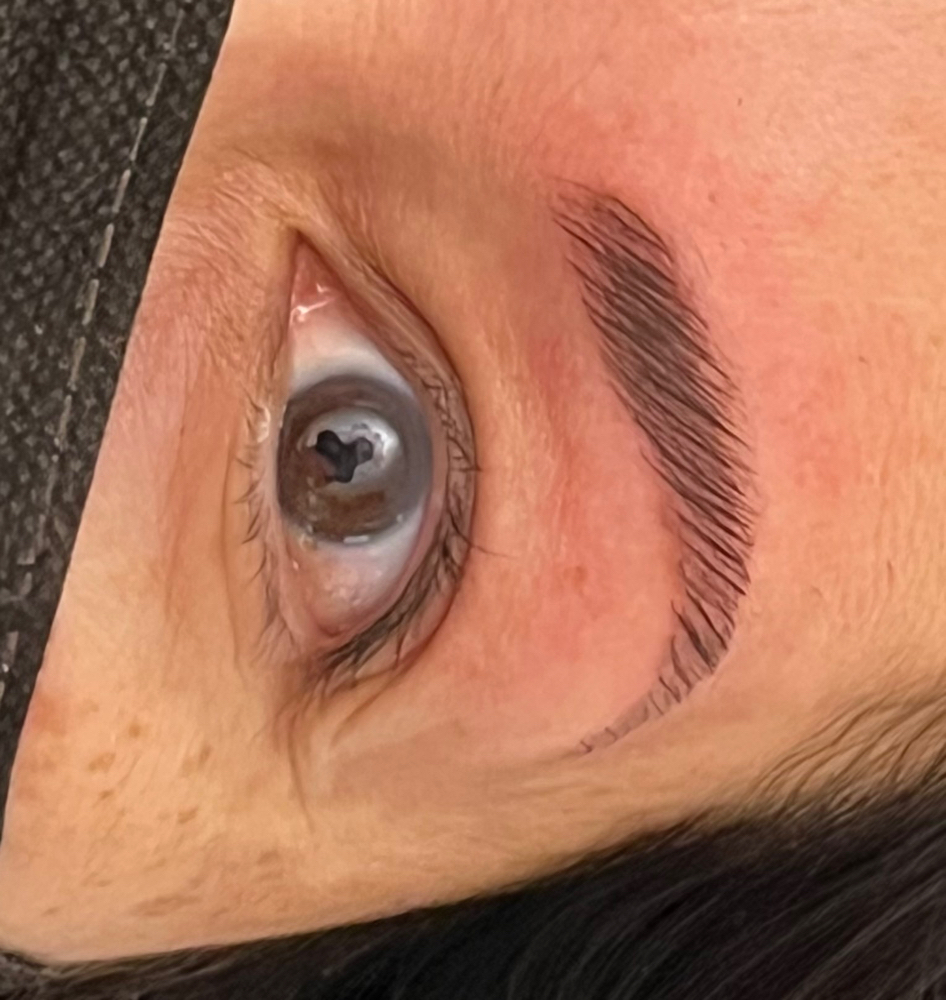 Brow Lamination And Tint at Joyce Servin in Canton, MI