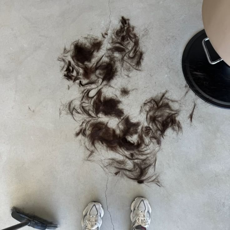 THE CUT at Beauty & Bougie in Lemars, IA