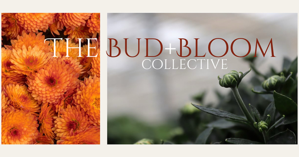 Bud + Bloom Collective Facial