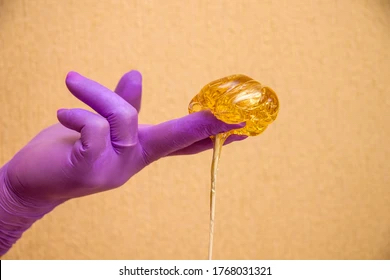 Stomach (Sugar)