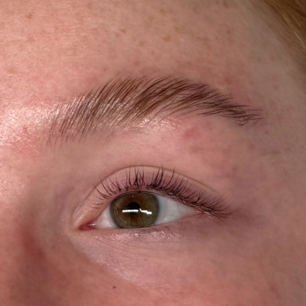 Brow Lamination + Lift & Tint combo at Everbloom Esthetics in Excelsior Springs, MO