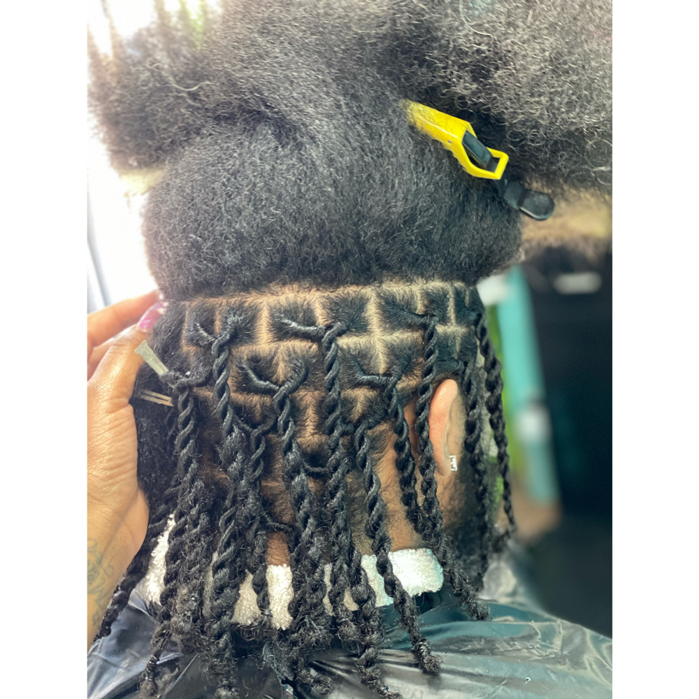 Starters Locs w/ style (contact Me)