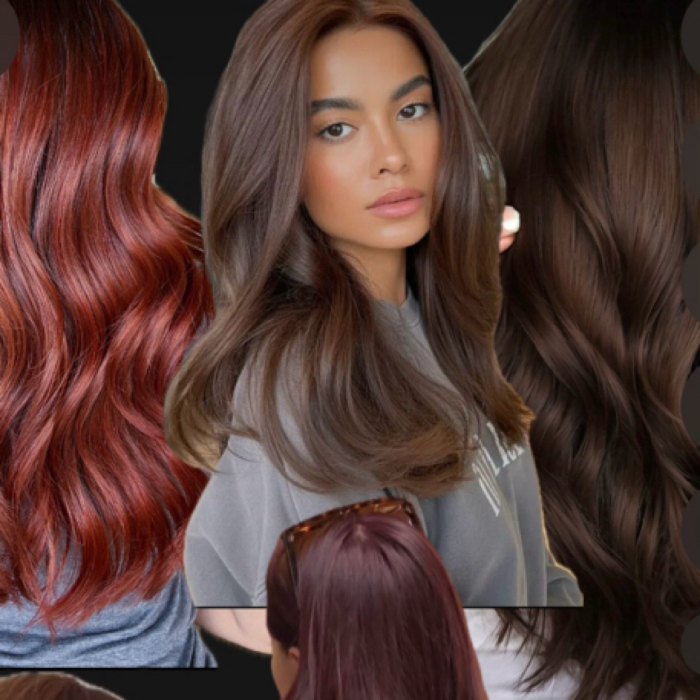 Custom All Over Color ( Lightening) at Jackyxhair in Rowlett, TX