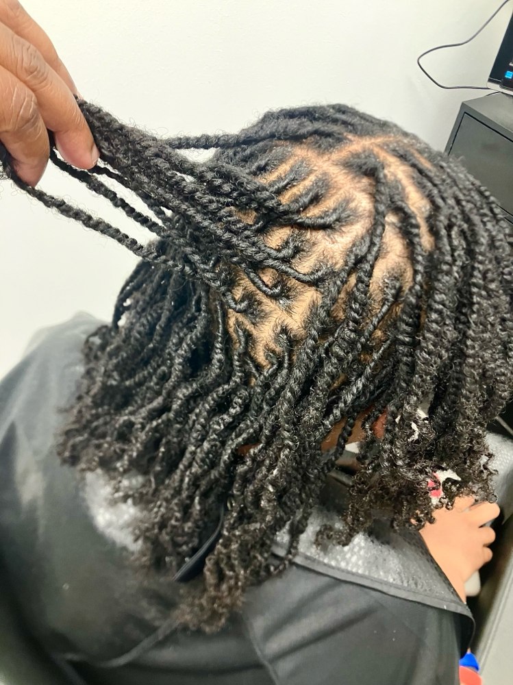 Traditional Starter Locs