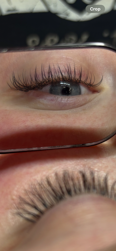 Classic Lashes
