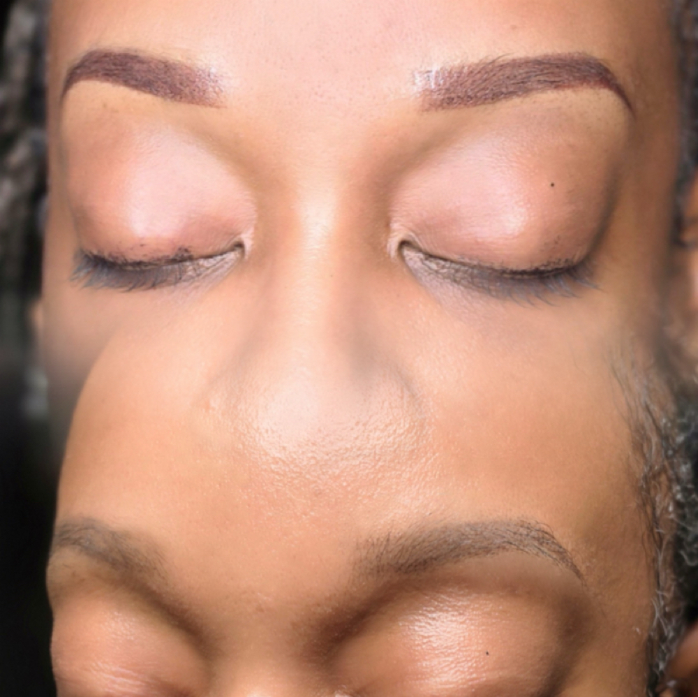 BrowEnvy 6 Week Perfection Session at BrowEnvySA in San Antonio, TX