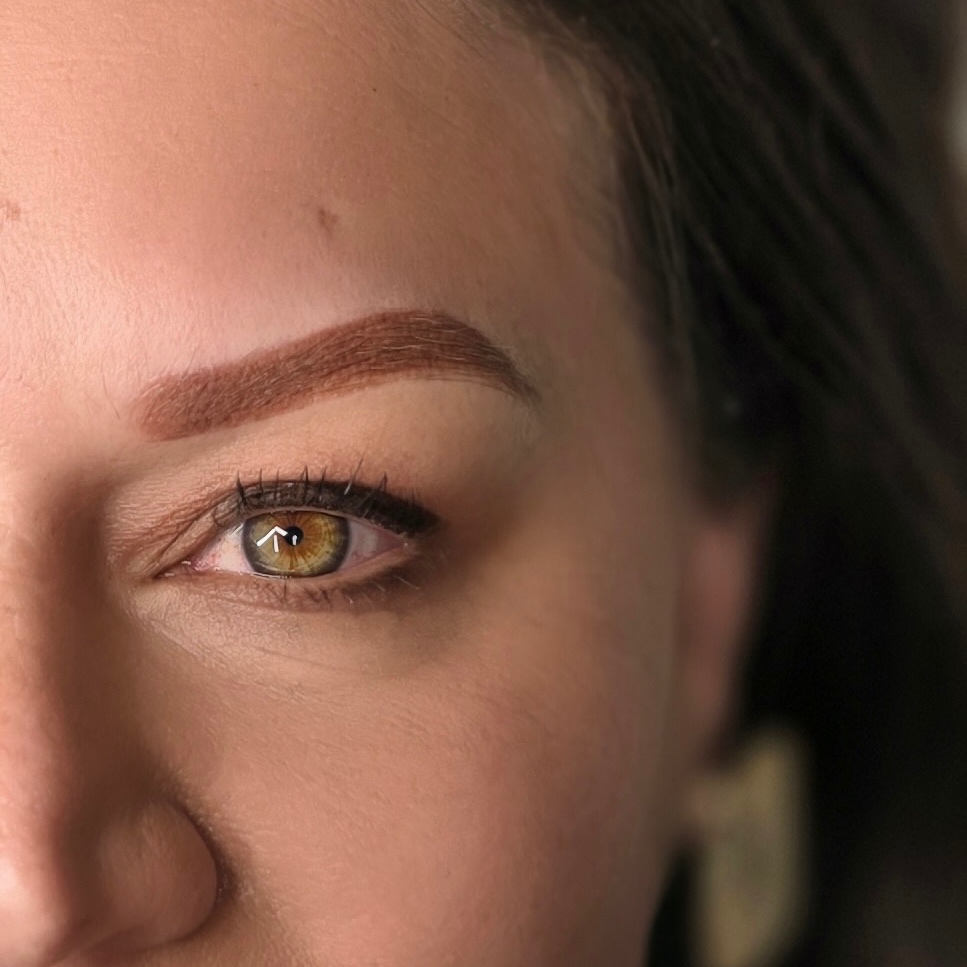 The Brow Envy Color Boost Session at BrowEnvySA in San Antonio, TX