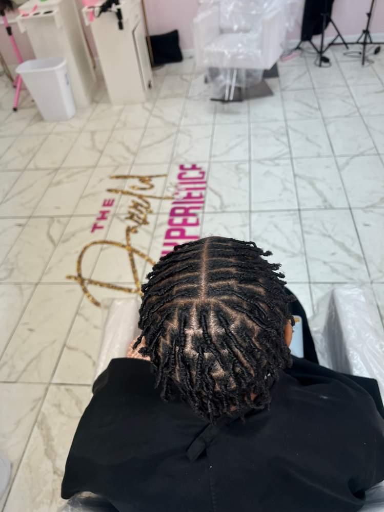 Small Two Strand Starter Locs