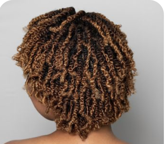 Mini Twists