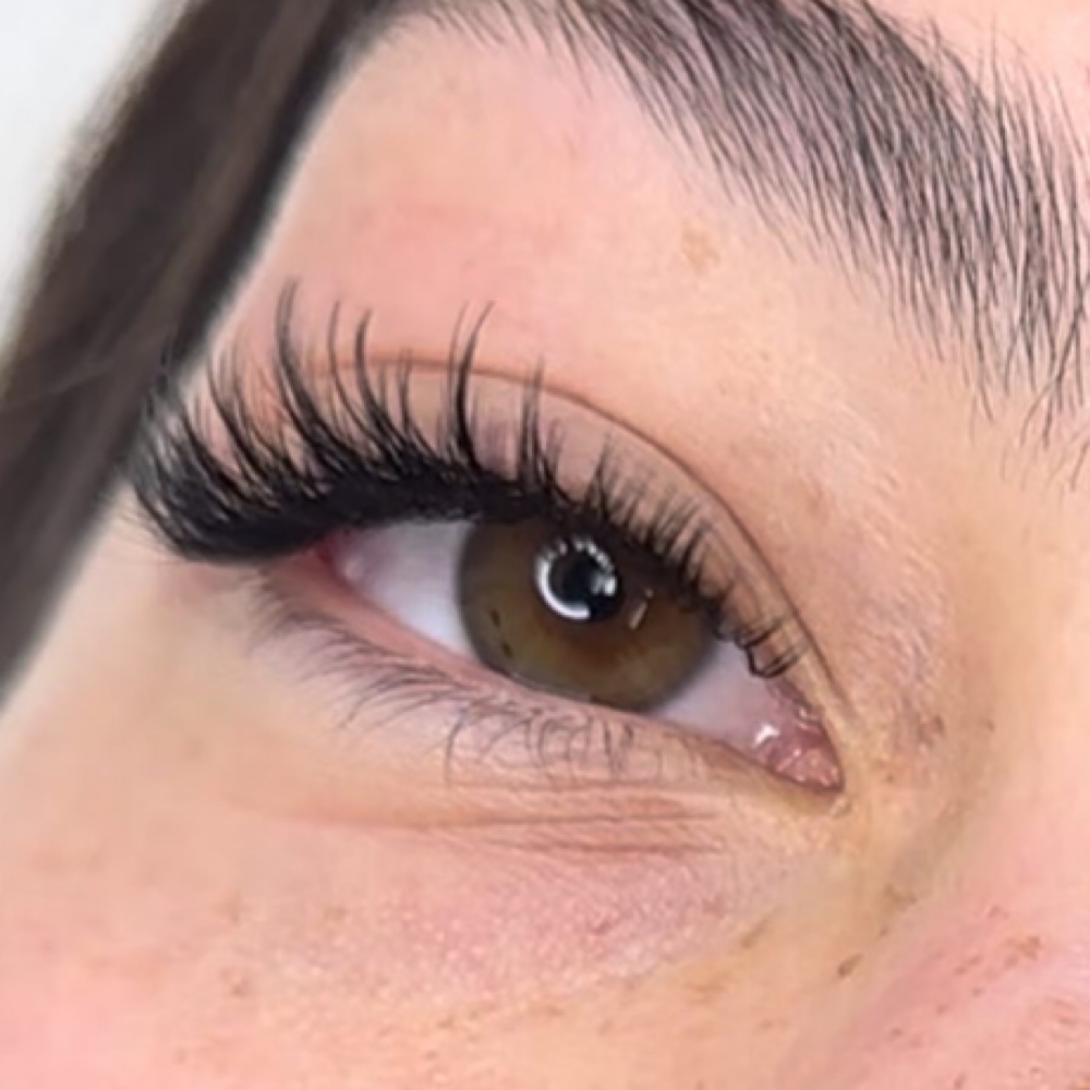 One Week Touch Up: Hybrid at Ash’s Lashes in Apple Valley, MN