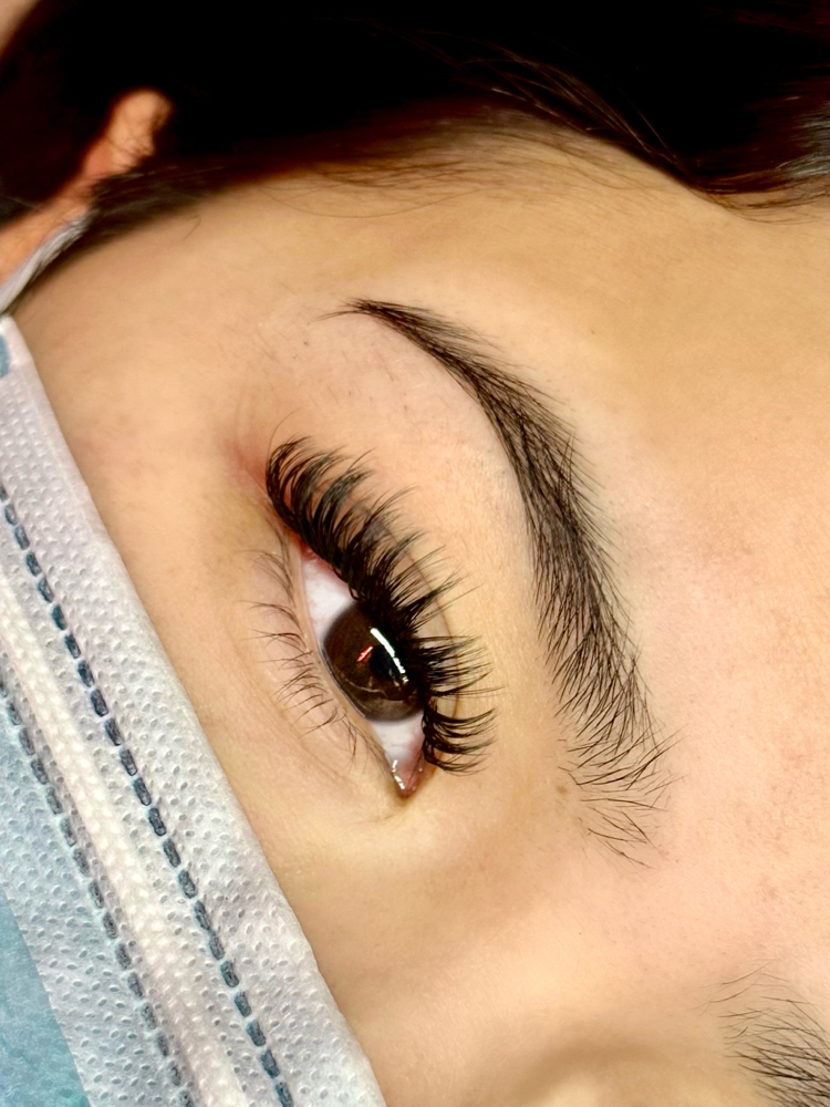 Wet Set Lash Extensions Full Set