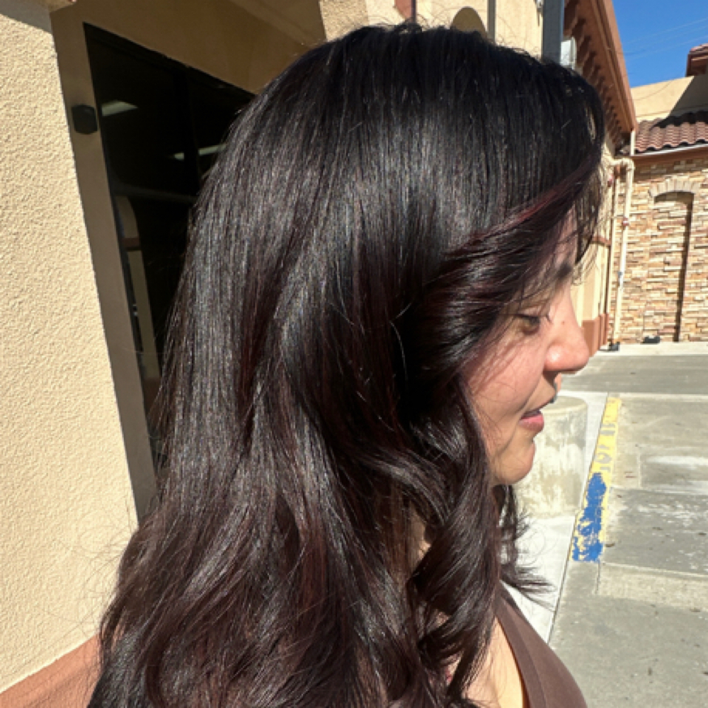 Color Gloss at Anna Garcia Hair in Manteca, CA