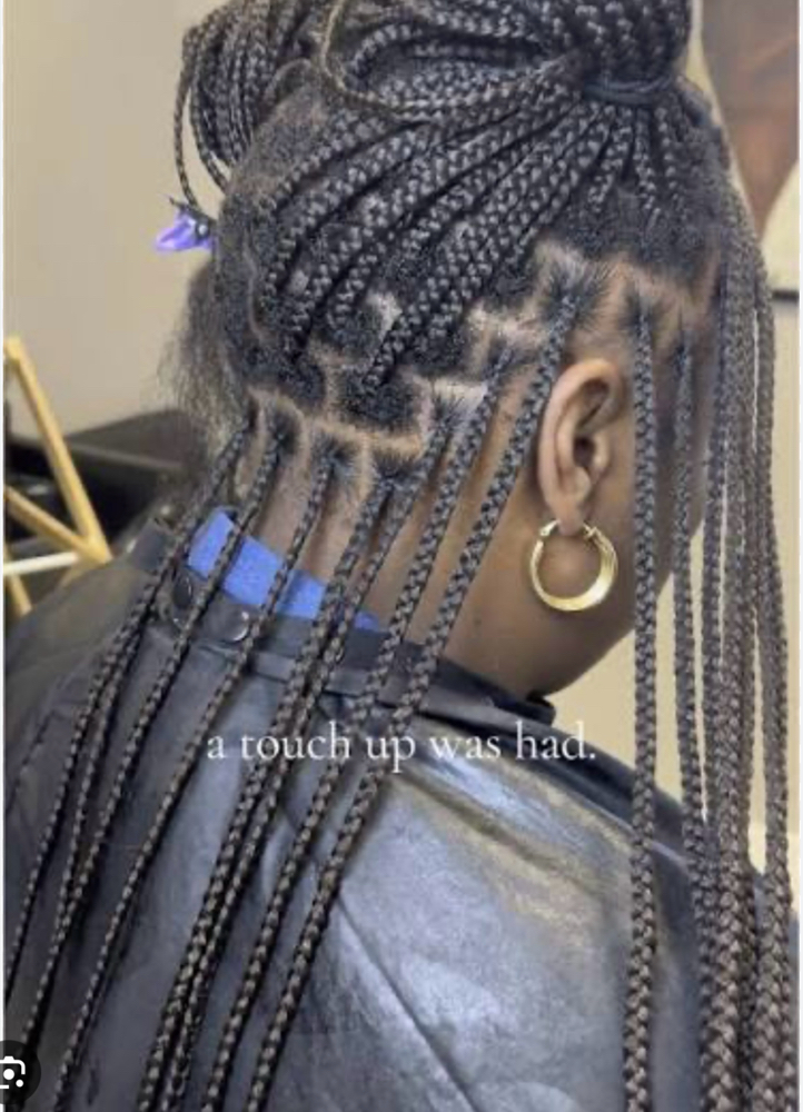Braid Retouch- 4/Returning Clients