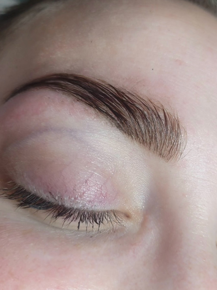 Eyebrow Wax & Tint