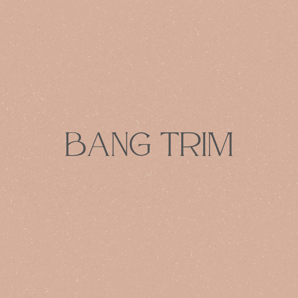 Bang Trim With Shampoo And Style at AMBER J HAIR LLC in Granger, IN