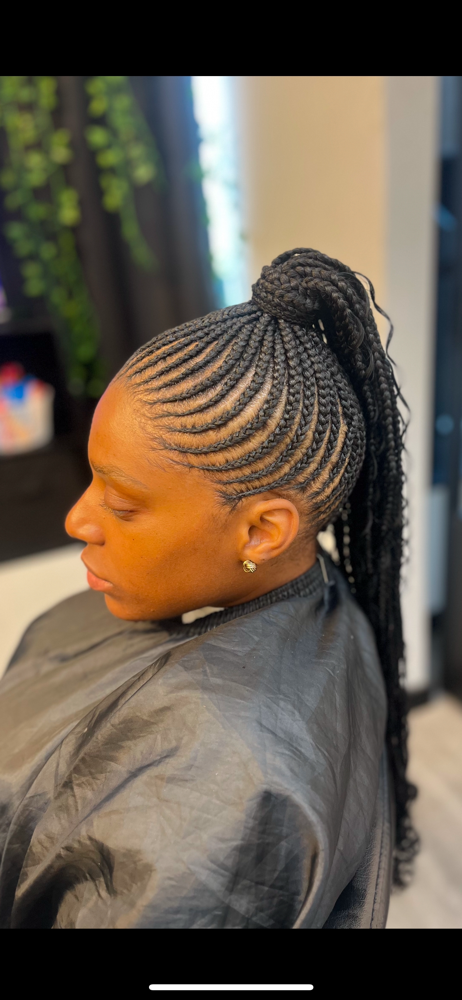 Small Braided Ponytail