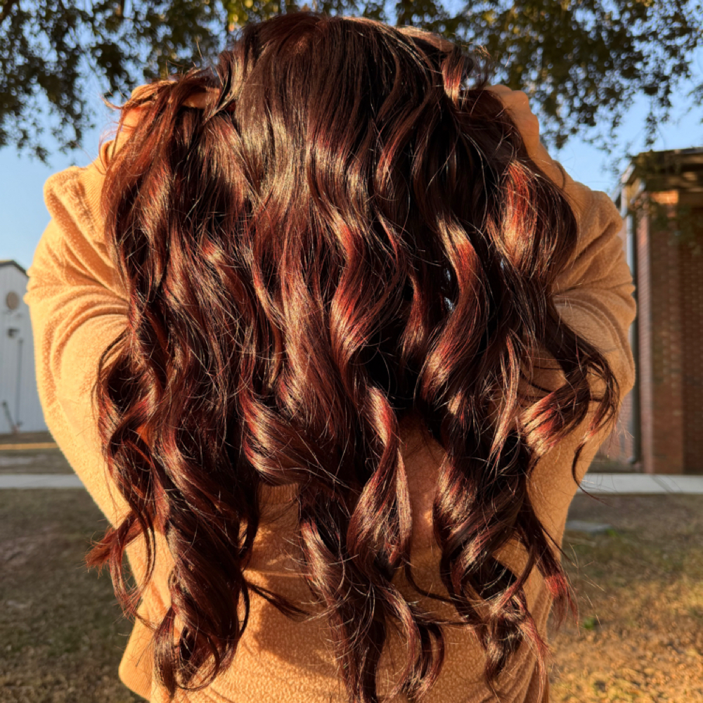 All-Over Color at Salon Soleil in Taylor, AL