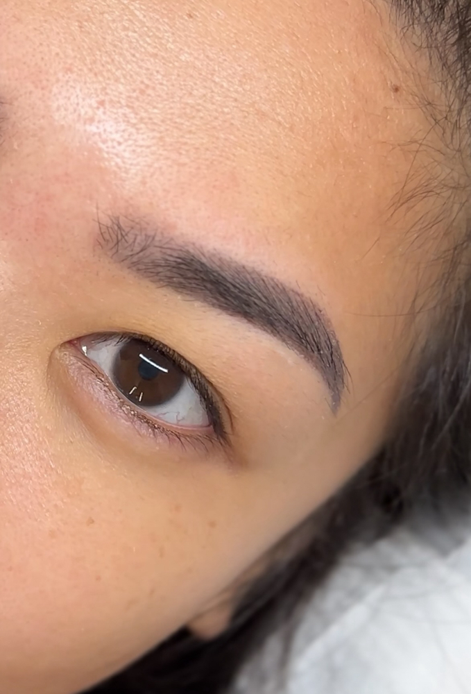 Ombre Powder Brows: 1 Year Touch Up