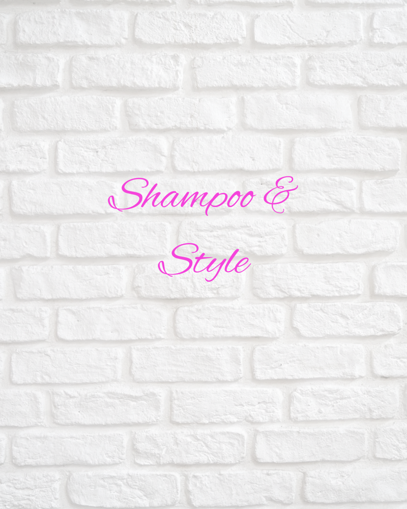 Shampoo And Style at Klassi Chix Unlimited in Shreveport, LA