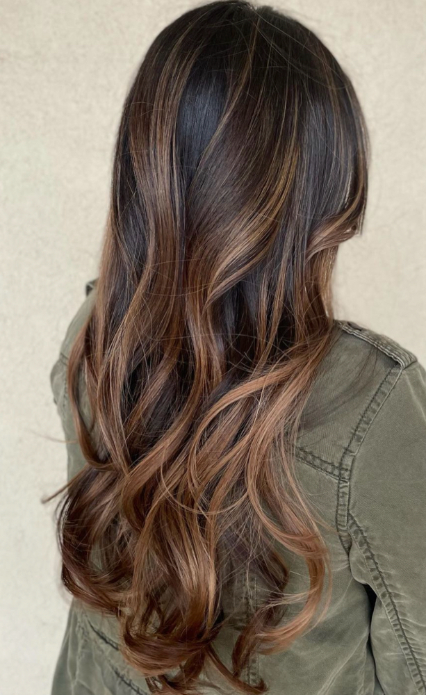 Full Balayage + Signature Blowout