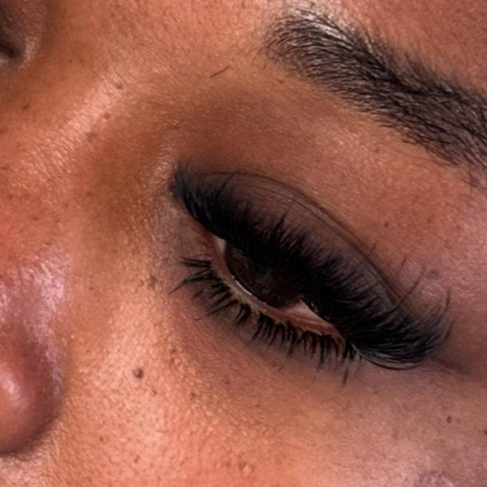 Bottom Lash Set