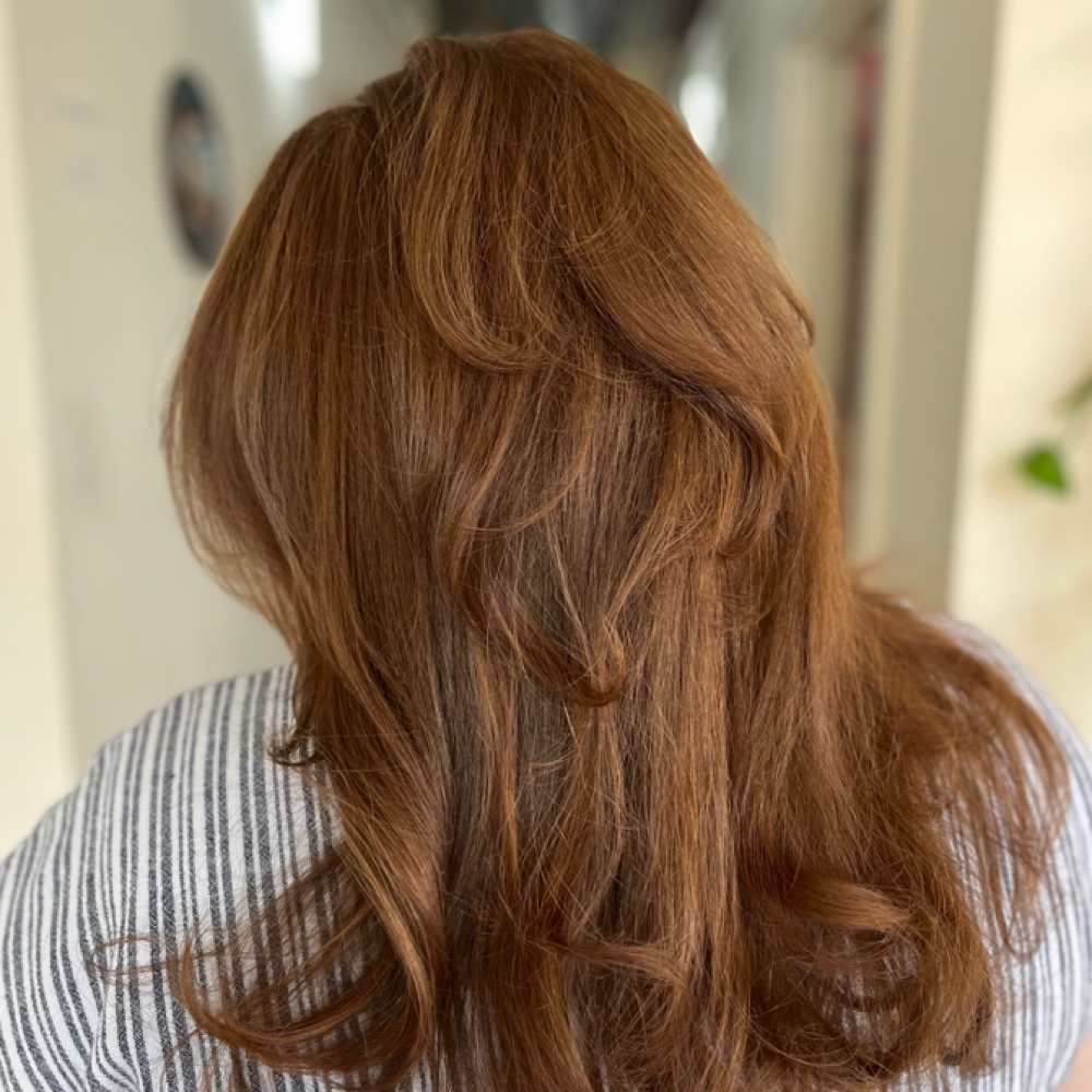 Root Touch Up at Nine Lives Studio in Knoxville, TN