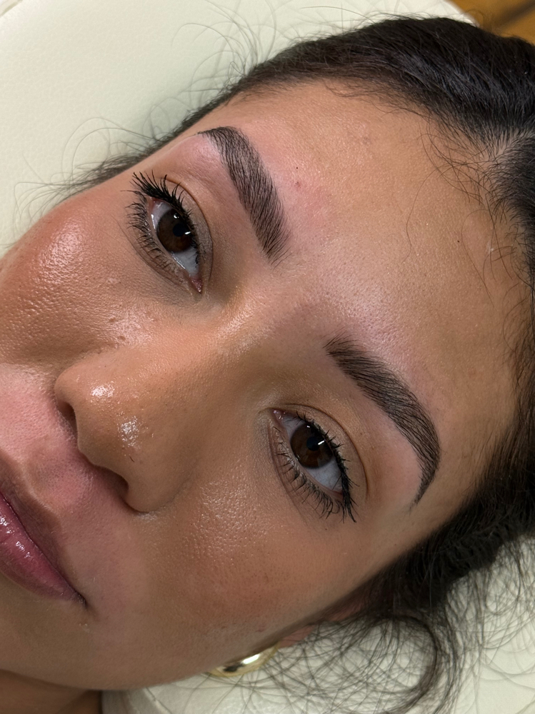Brow Lamination & Tint at ALX Esthetics in Greenville, SC