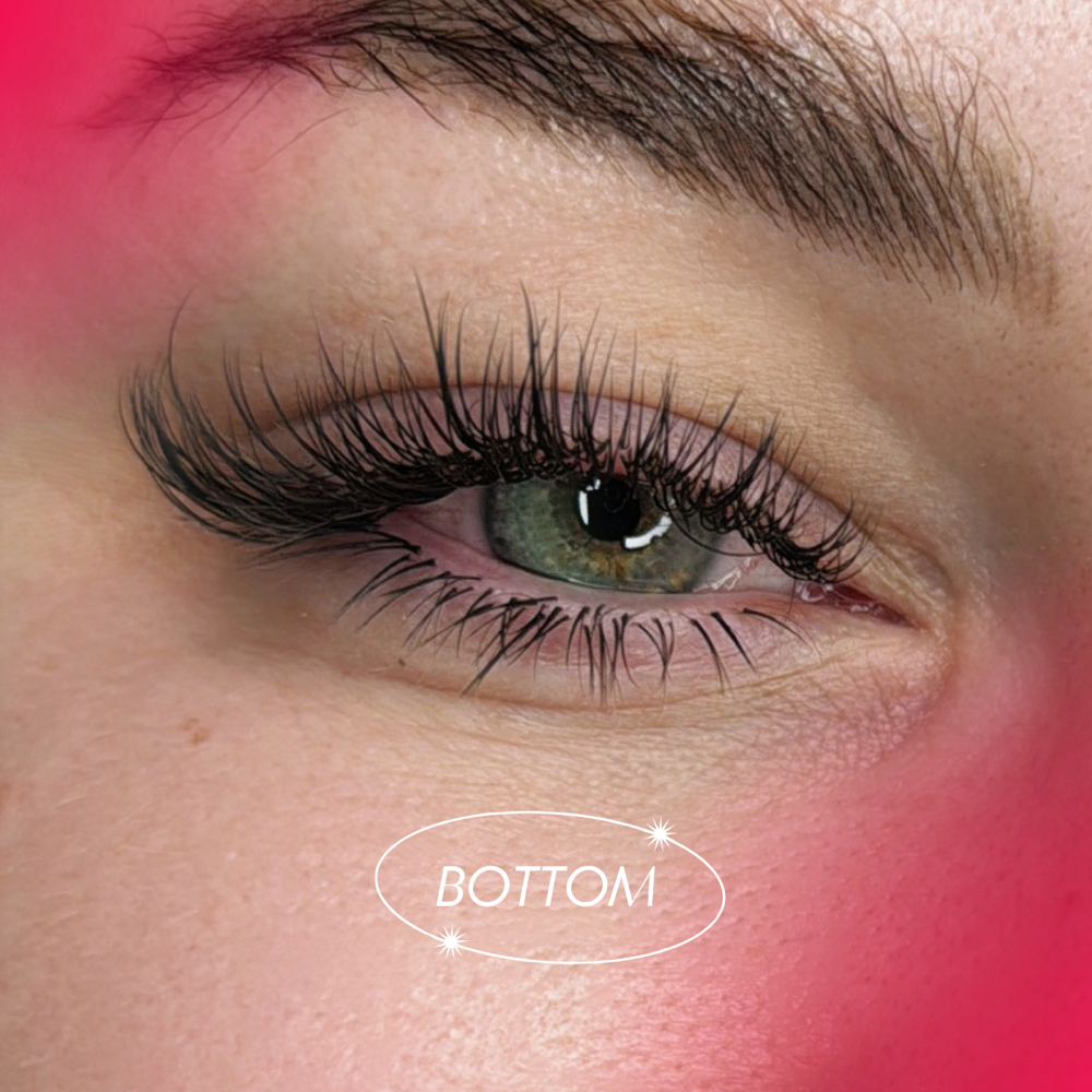 Bottom Lashes