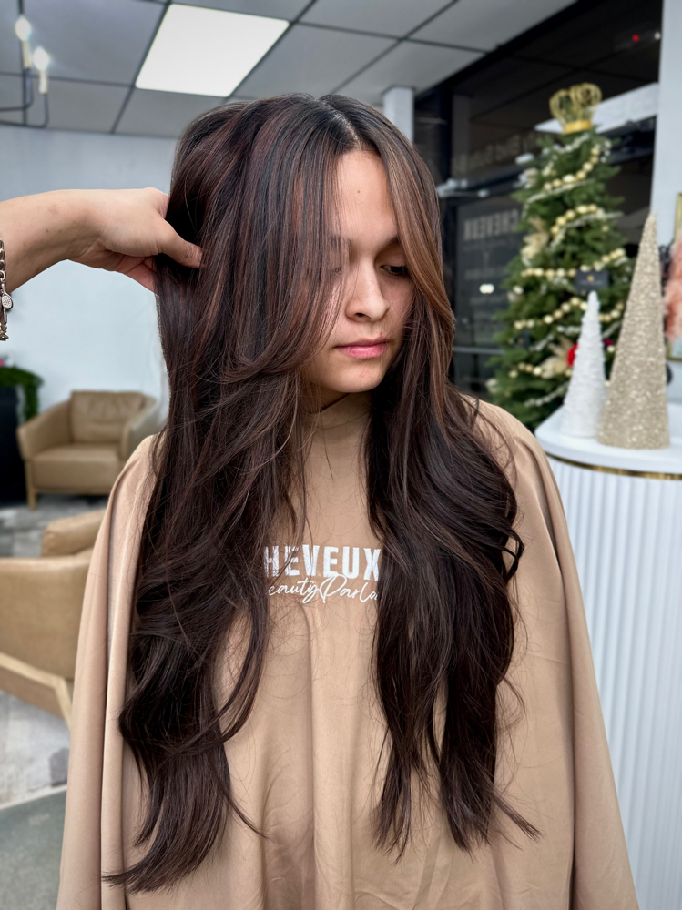 Partial Highlight/ Balayage