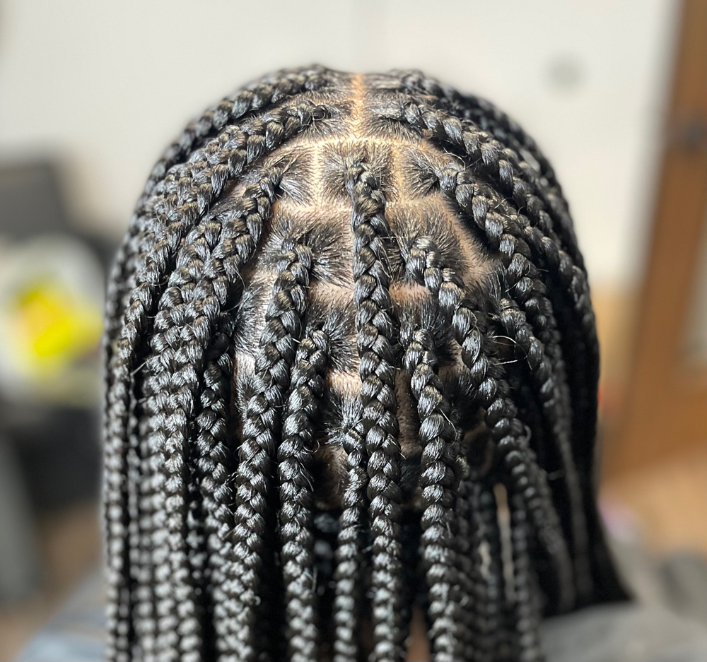 Medium Knotless Box Braids