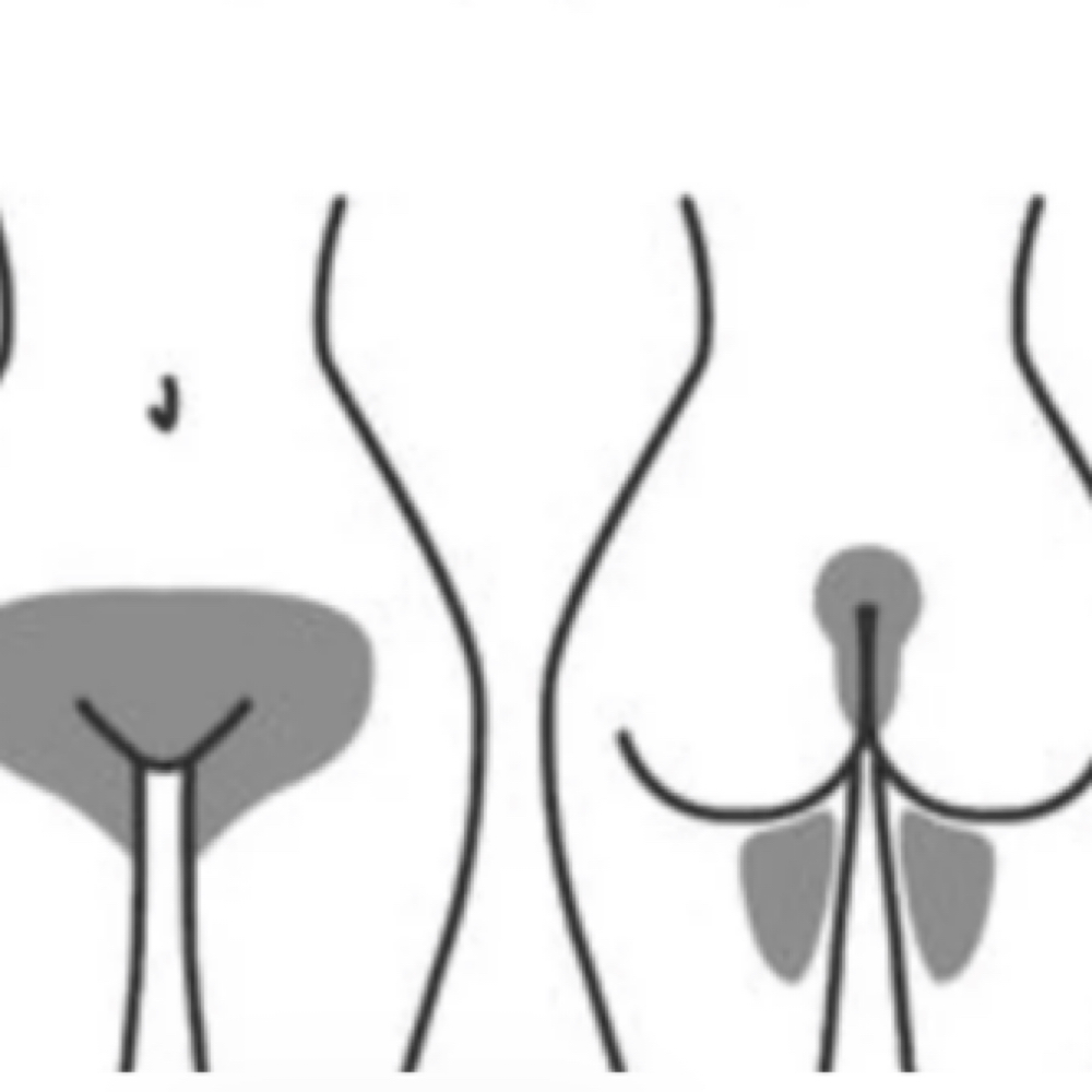 Brazilian Wax at Precision Wax by Michelle in Needham, MA