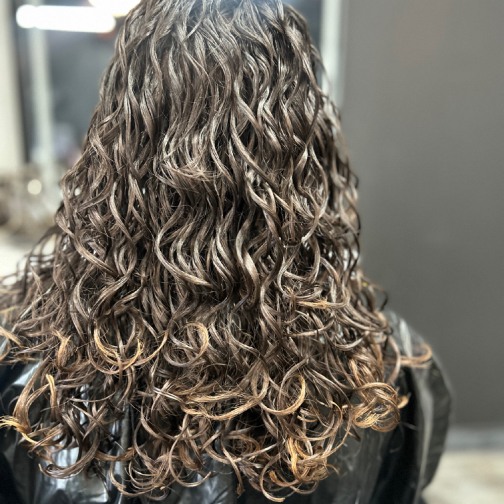 Curly Wash & Go at Haus Of Kartel in Rochester, NY