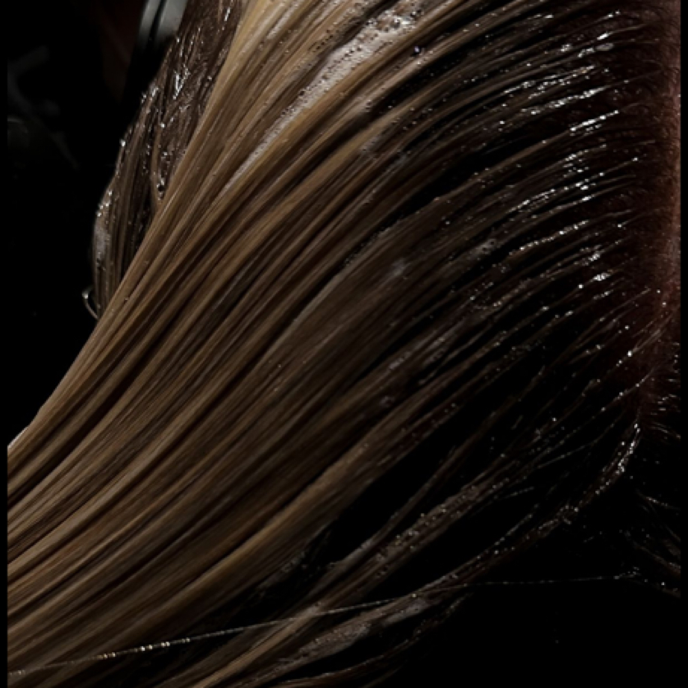 Maintance Gloss/ Toner at Studio Two Ten in O’Fallon, MO