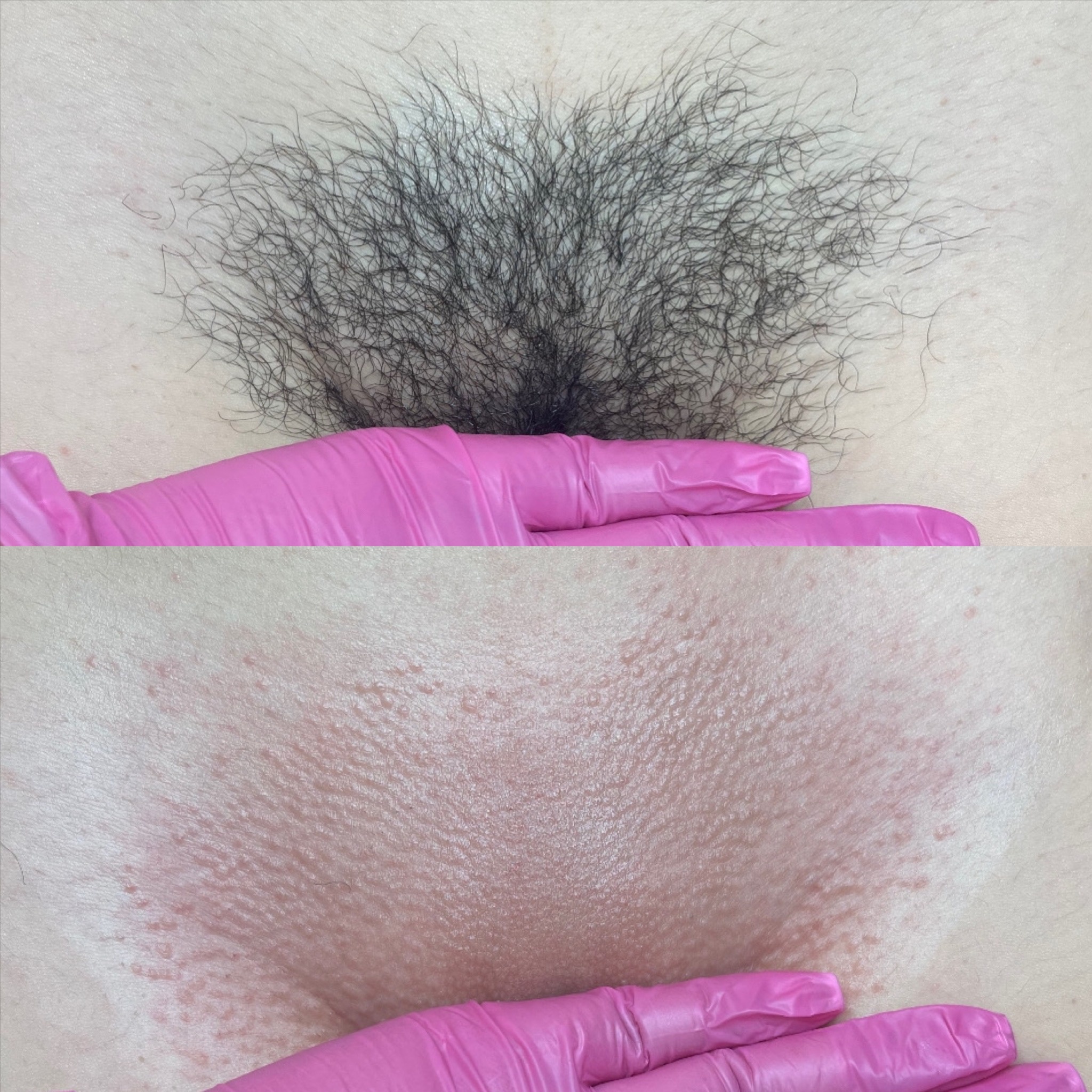 New Client Brazilian Wax at Pink Crab Wax Bar in Las Vegas, NV