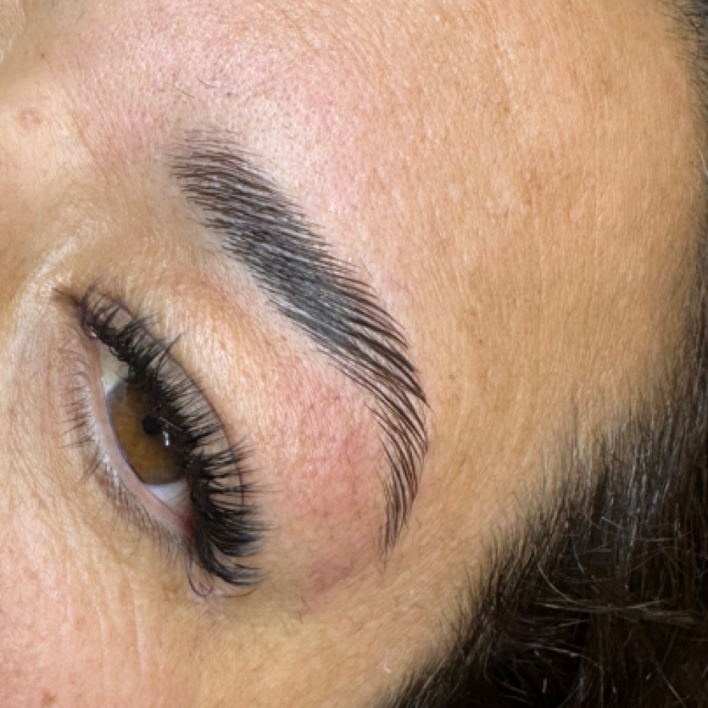Brow Lamination — No Tint at The Beauty Spot in Albuquerque, NM