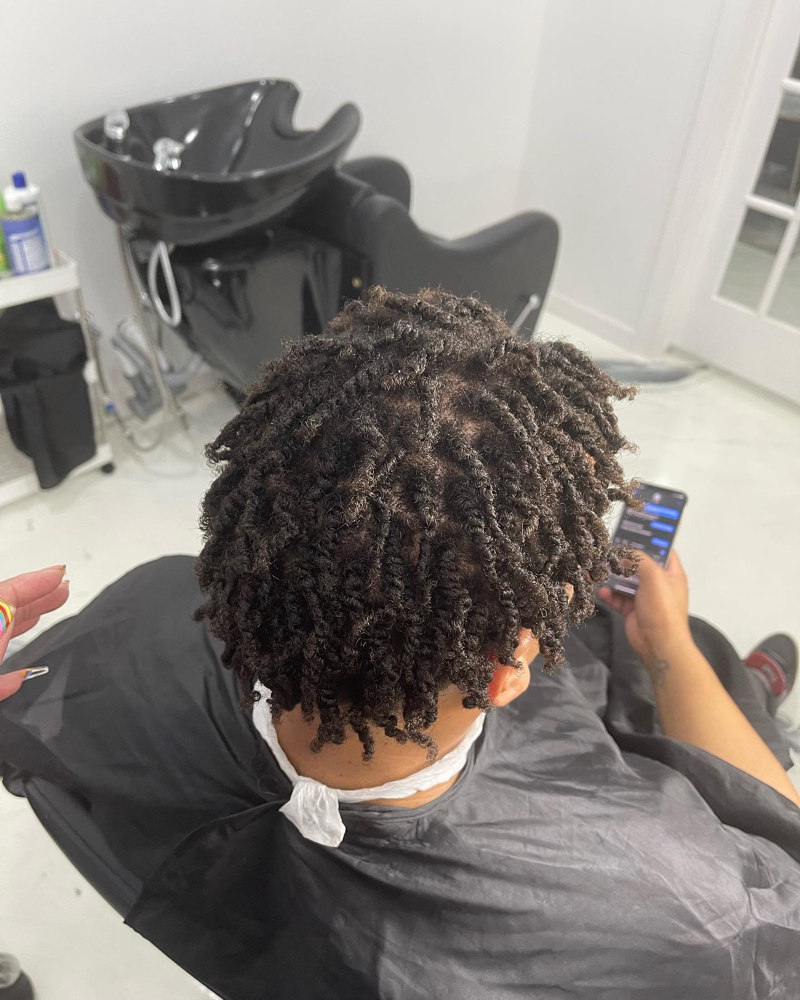 Two Strand Twist on Loose Hair