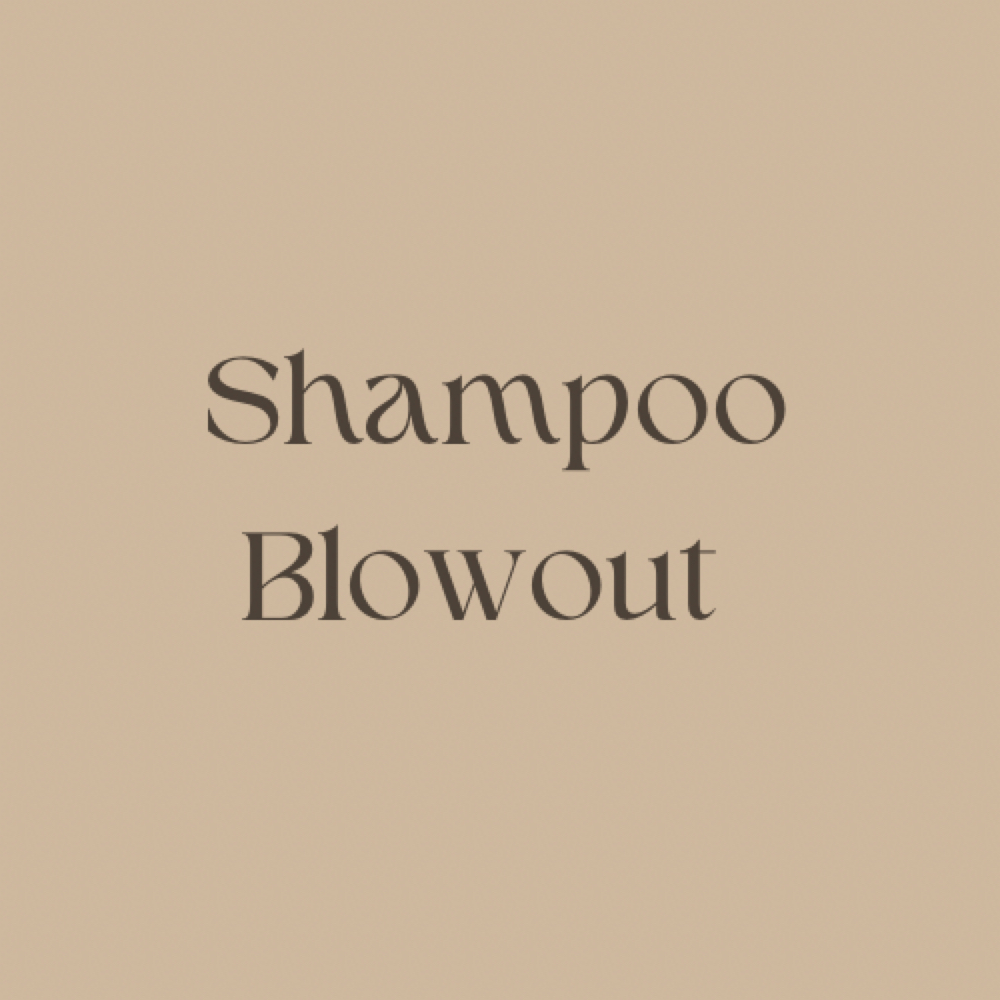 Shampoo Blowout at The Bronze Beauty Collective in Covington, LA