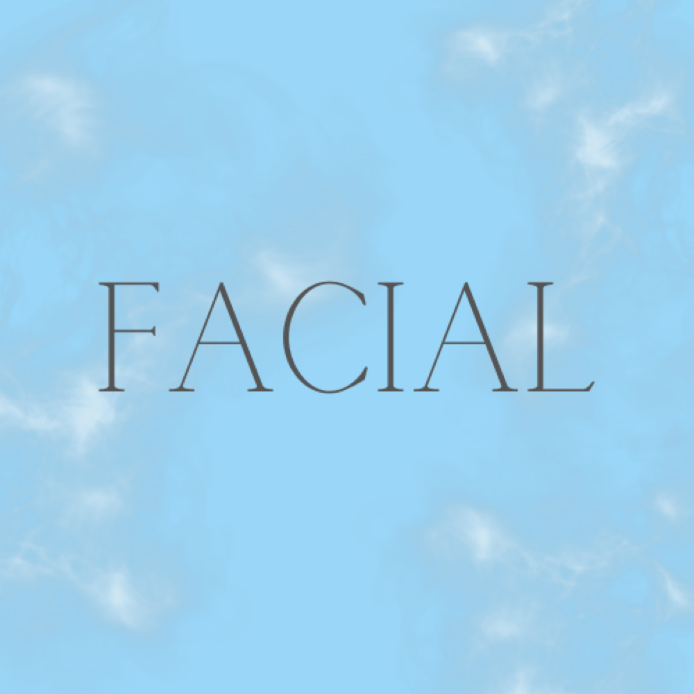 Signature Facial at Restored Beauty Bar in Farmington, MI