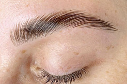 Eyebrow Lamination