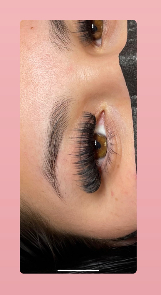 Wispy Volume at Beautyxalysssa in San Antonio, TX