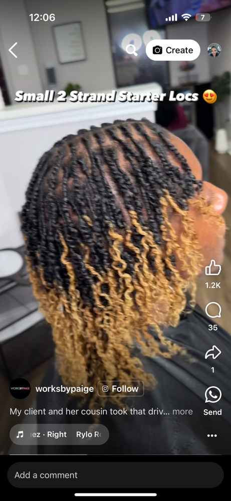 Starter Locs ( Coil /twist ) Method