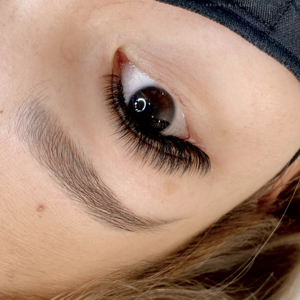 Lash Full Set - Jr Artist at Transform Beaute in Hoffman Estates, IL